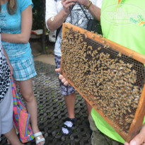 фото из отзыва ID 1540489