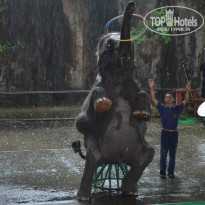 фото из отзыва ID 1540489