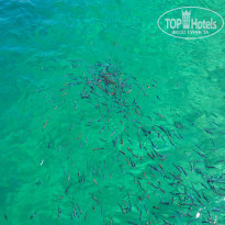 фото из отзыва ID 1540897