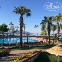 фото из отзыва ID 1541050