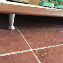 фото из отзыва ID 1541139