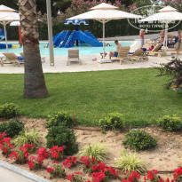 фото из отзыва ID 1541121