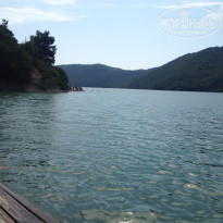 фото из отзыва ID 1541201