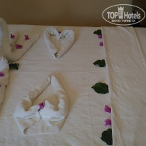 фото из отзыва ID 1541204