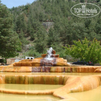 фото из отзыва ID 1541279