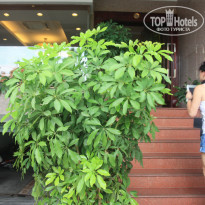 фото из отзыва ID 1541427