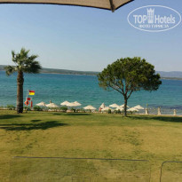 фото из отзыва ID 1541669