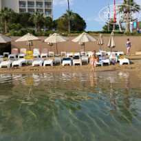 фото из отзыва ID 1541669