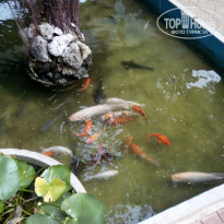 фото из отзыва ID 1541690