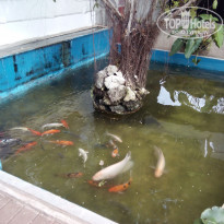 фото из отзыва ID 1541690