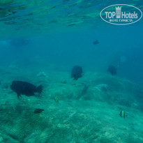 фото из отзыва ID 1541690