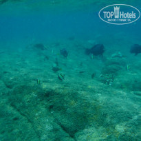 фото из отзыва ID 1541690