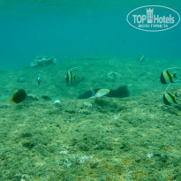 фото из отзыва ID 1541690