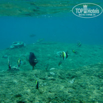 фото из отзыва ID 1541690