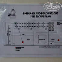 фото из отзыва ID 1541690