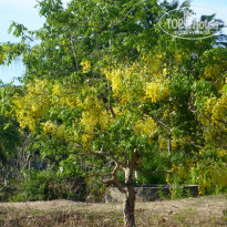 фото из отзыва ID 1541690