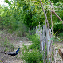 фото из отзыва ID 1541690