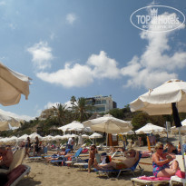 фото из отзыва ID 1541772