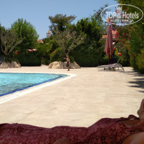 фото из отзыва ID 1541707