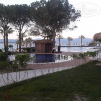 фото из отзыва ID 1541851