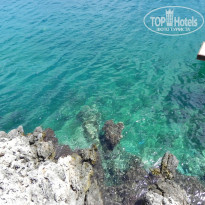 фото из отзыва ID 1541788