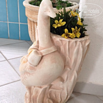 фото из отзыва ID 1542017