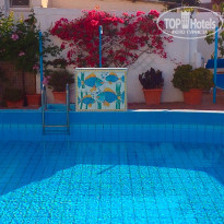 фото из отзыва ID 1542017