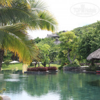 фото из отзыва ID 1542132