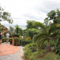 фото из отзыва ID 1542191