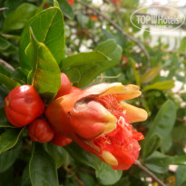 фото из отзыва ID 1542363