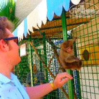 фото из отзыва ID 1542558