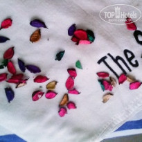 фото из отзыва ID 1542558