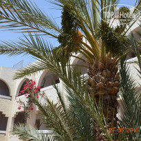 фото из отзыва ID 1542562