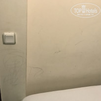 фото из отзыва ID 1542829