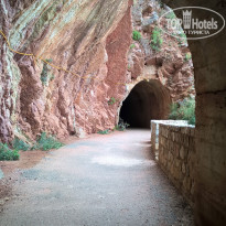 фото из отзыва ID 1542784