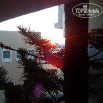 фото из отзыва ID 1542882