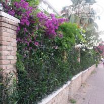 фото из отзыва ID 1543040