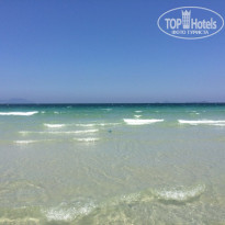 фото из отзыва ID 1543202