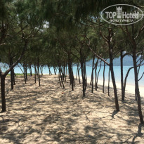 фото из отзыва ID 1543202