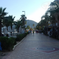 фото из отзыва ID 1543455