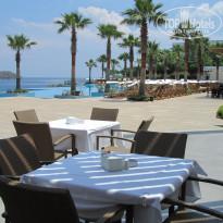 фото из отзыва ID 1543751