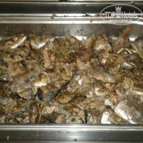 фото из отзыва ID 1543788