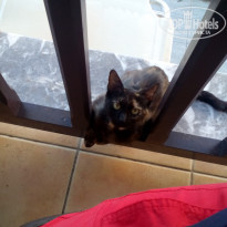 фото из отзыва ID 1543869