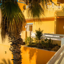 фото из отзыва ID 1543352