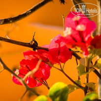 фото из отзыва ID 1543352