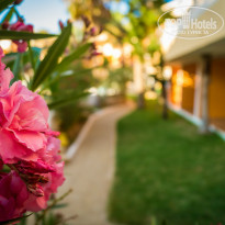 фото из отзыва ID 1543352