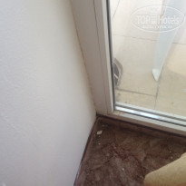 фото из отзыва ID 1543949