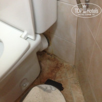 фото из отзыва ID 1543949