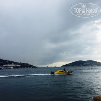 фото из отзыва ID 1544104