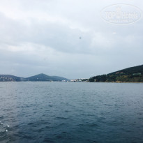 фото из отзыва ID 1544104